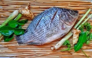 Tout savoir sur le filet de tilapia : avantages nutritionnels et recettes variées